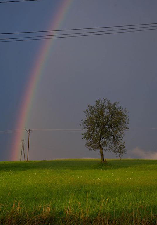 Miętowa Górka Vila Zab Quarto foto
